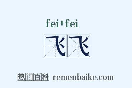 飞飞是什么意思的图片